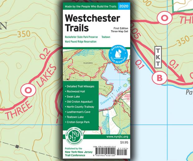 Westchester 2020 Map Graphic